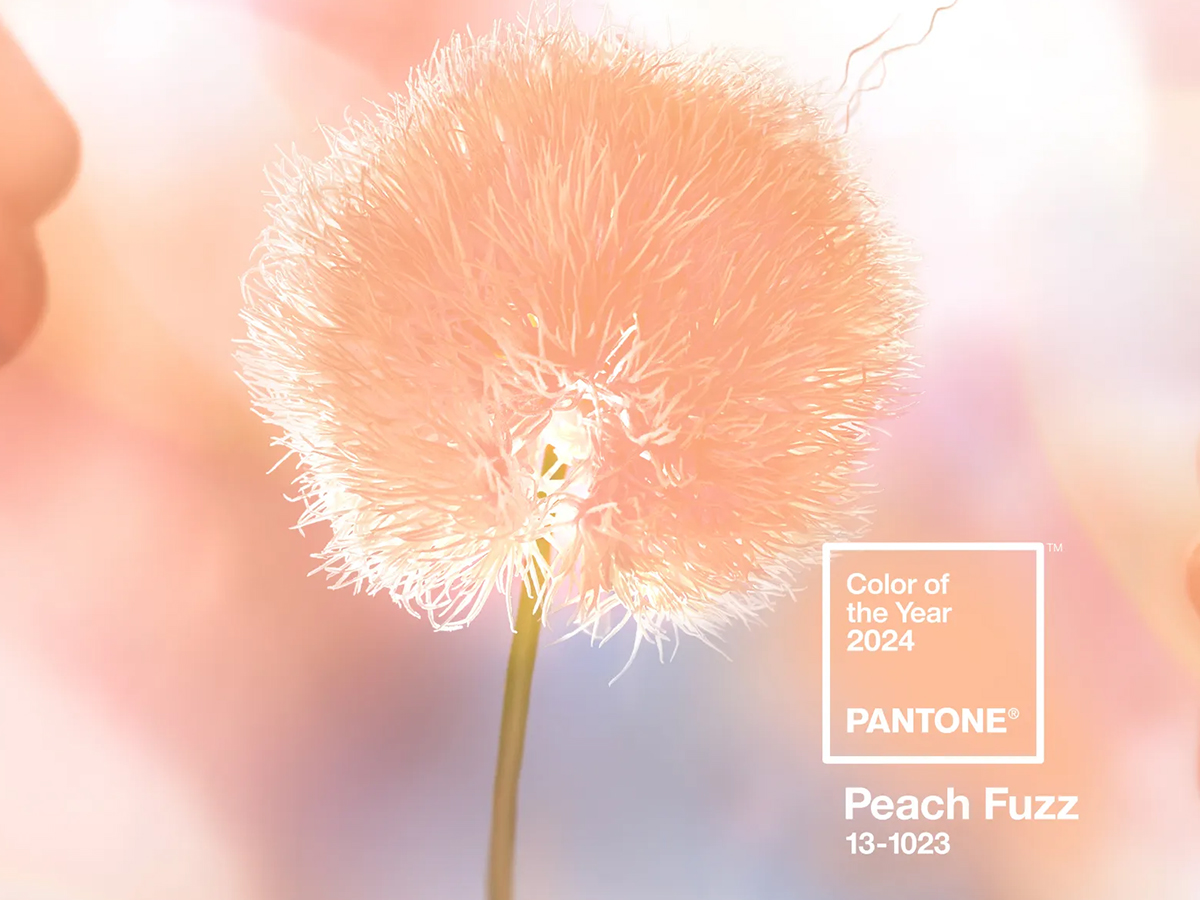 Designing with Elegance: Incorporating 'Peach Fuzz' (PANTONE 13-1023) into Furniture for Timeless Charm