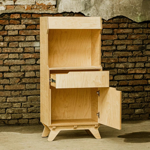 Birch Plywood Cabinet