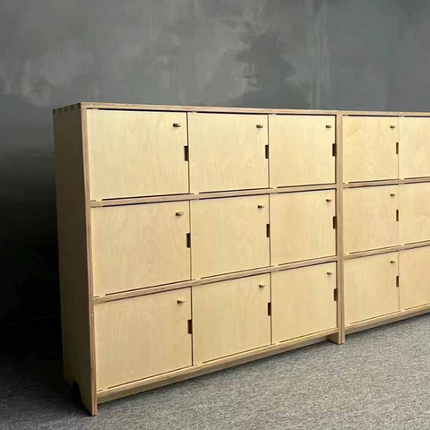 Birch Plywood Lockers